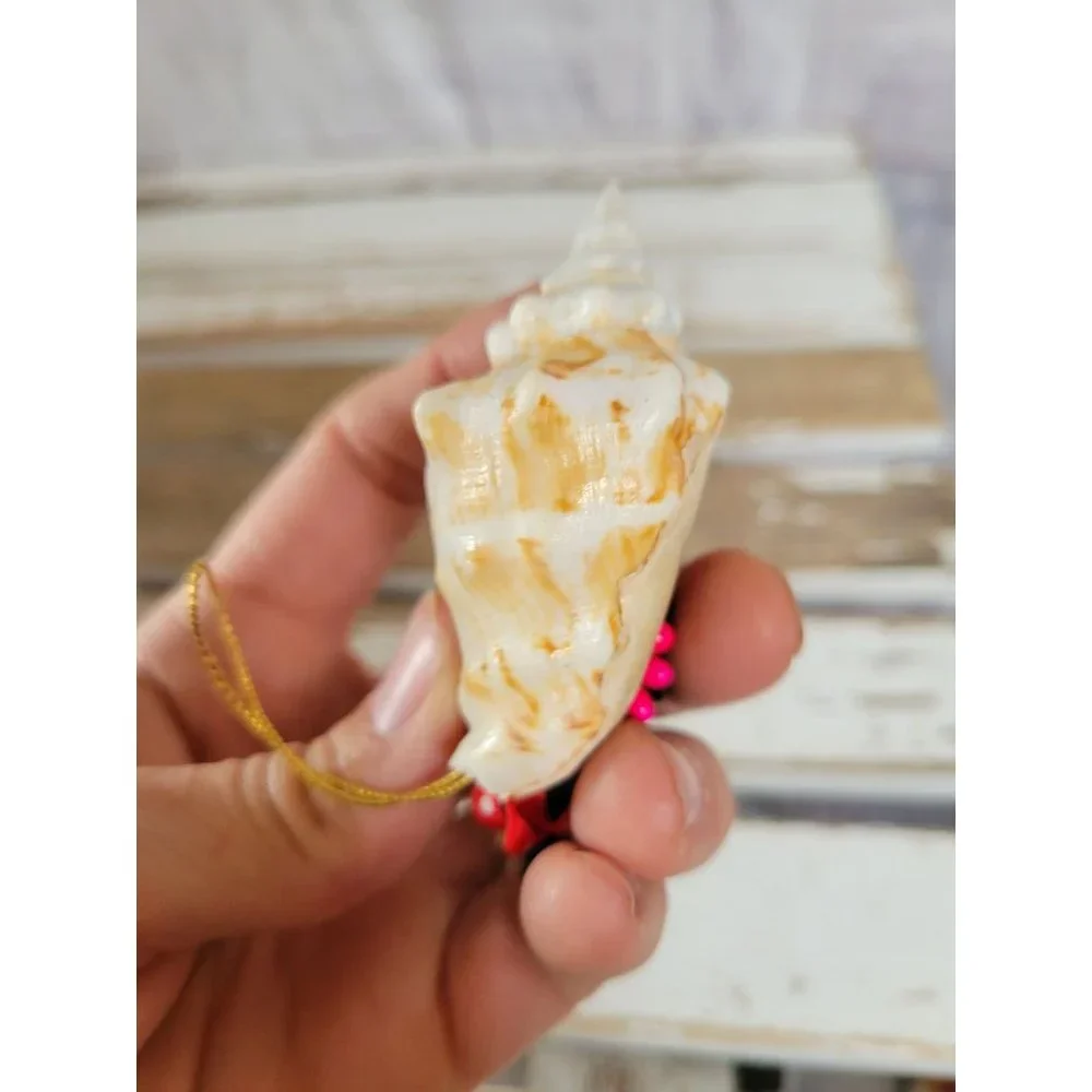 Shell‎ Beach holiday ornament cinnamon Xmas vintage holiday tree